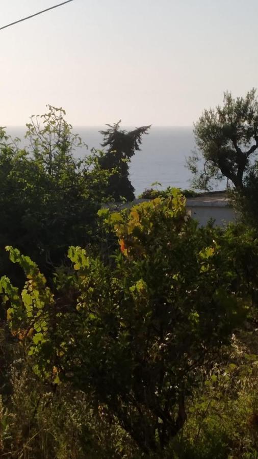Mullaj Guest House Vlore Exterior photo